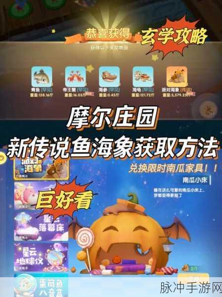 摩尔庄园手游斑点鲨捕捞全攻略
