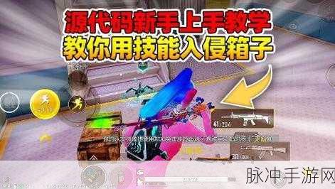 和平精英源代码，深度解析其基本信息与技能