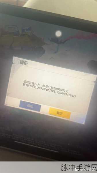 和平精英封号申诉地址全攻略及相关解读