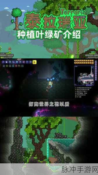 泰拉瑞亚叶绿巨斧深度解析，属性与获得方法全揭秘