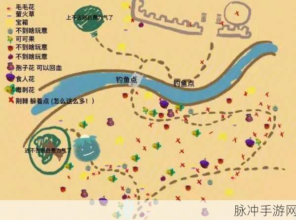 摩尔庄园黑森林探险，揭秘森林之石的神秘位置