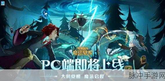 哈利波特魔法觉醒，揭秘复制卡牌机制与获取攻略