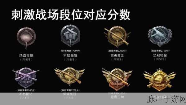 和平精英，热血战场上的荣耀之路——详解段位排行顺序