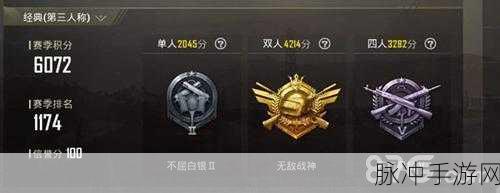 和平精英，热血战场上的荣耀之路——详解段位排行顺序