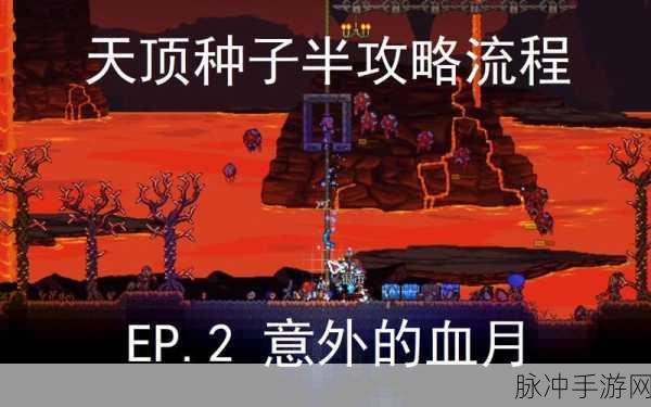 泰拉瑞亚血月全解析，机制、影响与应对策略