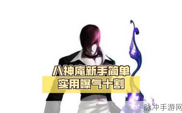 拳皇98终极之战OL，八神庵超强阵容搭配攻略