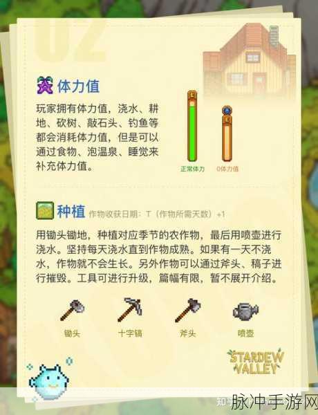 星露谷物语之夏季作物致富秘籍