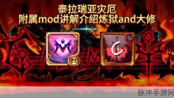 泰拉瑞亚灾厄，斯塔提斯的虚空饰带深度解析