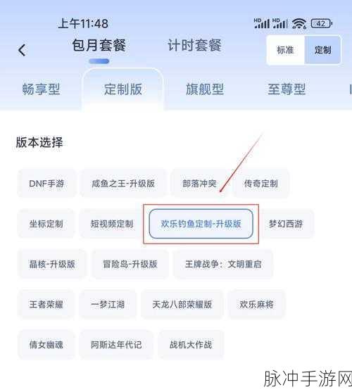 手游秘籍，通关必备的高级策略与技巧