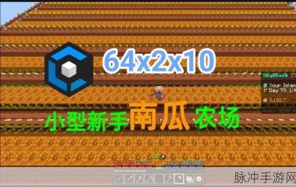 我的世界南瓜种植全攻略，打造你的丰收乐园