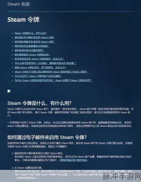 玩转 Steam，正确填写电子邮件的秘籍