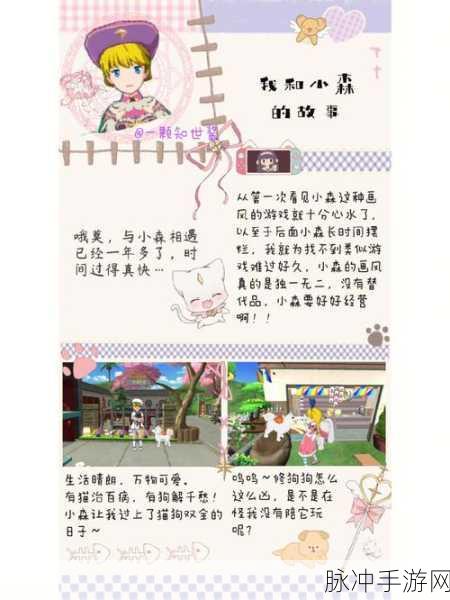 小森生活海边餐厅的精准前往秘籍