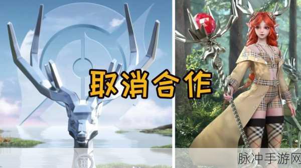 王者荣耀取消与Burberry合作，一次深思熟虑的决策