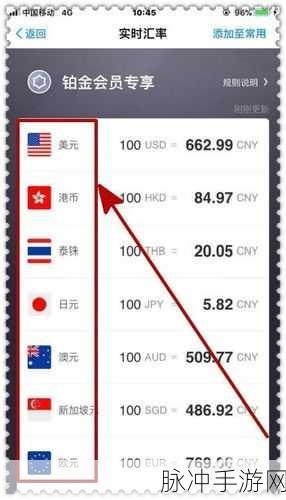 堕落玩偶赞助详解，支付宝支付是否可行？