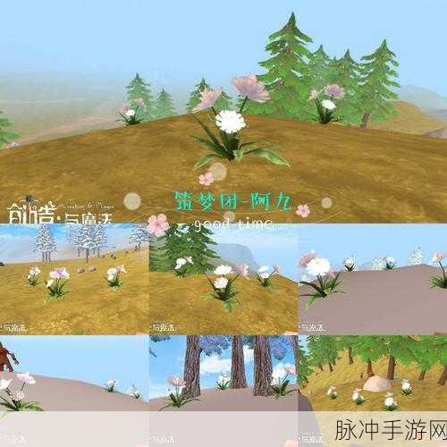 创造与魔法中白色小花的神奇用途全解析