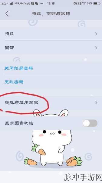 手游秘籍，苹果相册加密隐私全攻略