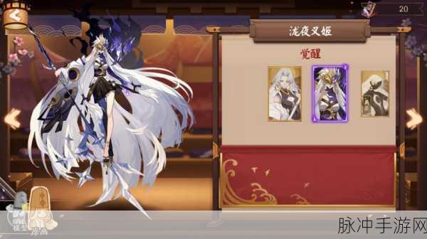 阴阳师手游攻略，泷夜叉姬典藏皮肤价格及详情解析