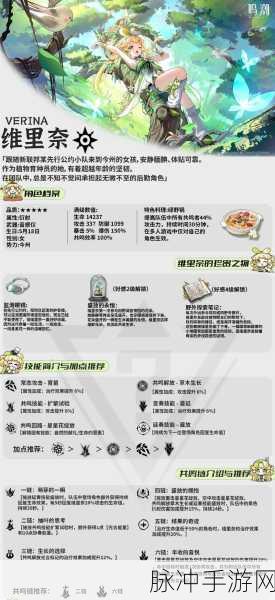 鸣潮维里奈配队阵容选择深度解析