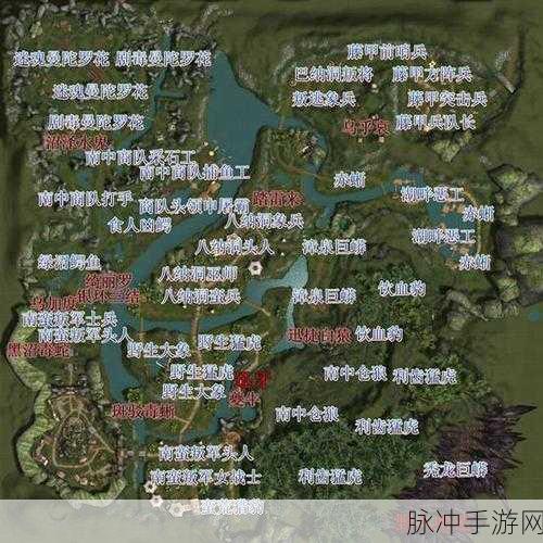 完美世界竞技平台冲 S 秘籍大公开