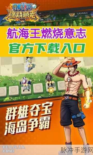 航海王燃烧意志，超级肉坦角色深度推荐及介绍
