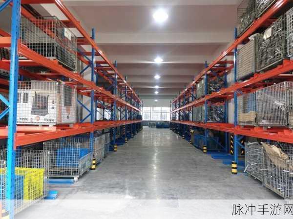 伊洛纳仓库满了怎么办？仓库容量上限的全方位解决方法