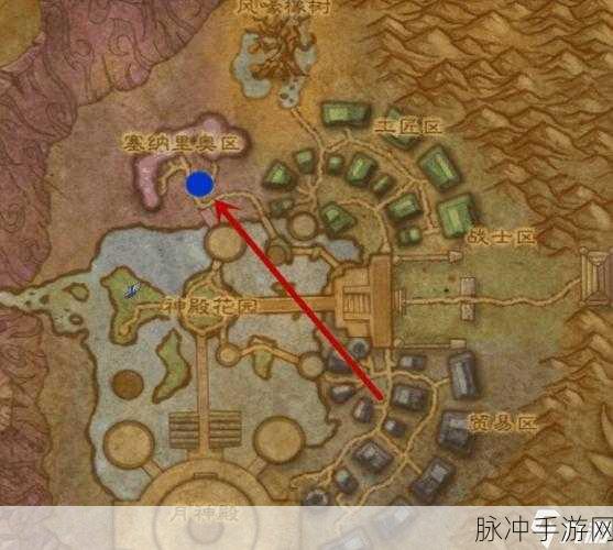 龙族幻想探索指南，揭秘雨具商人位置坐标