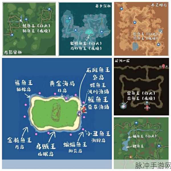 小森生活海岛资源全攻略，解锁每个海岛的独特宝藏