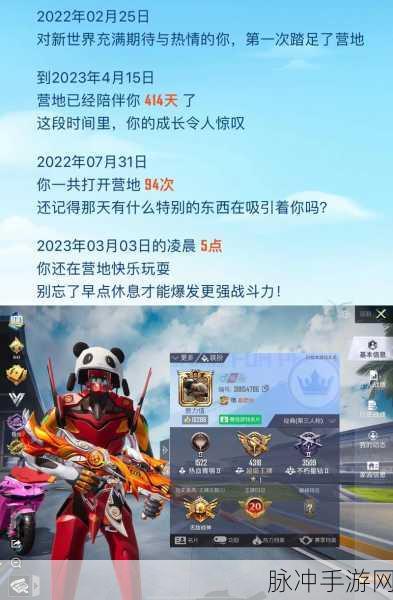 和平精英，隐匿历史战绩的全方位指南