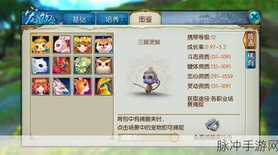 诛仙手游珍稀宠物寻觅指南，稀有玉兔刷新位置全解析