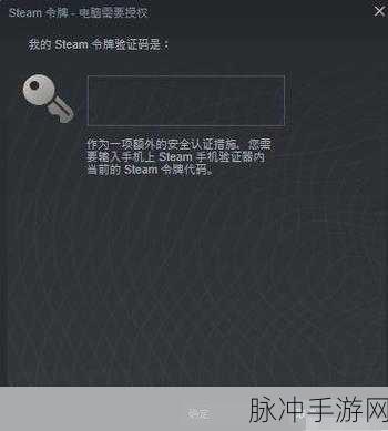Steam 手机版验证码输入困扰，手游公司为您解惑