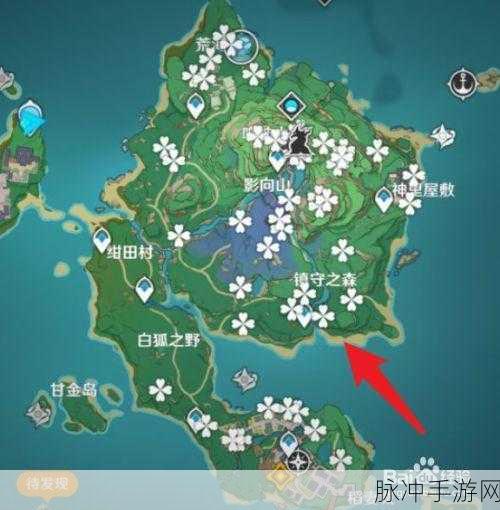 原神绯樱绣球全位置攻略大揭秘