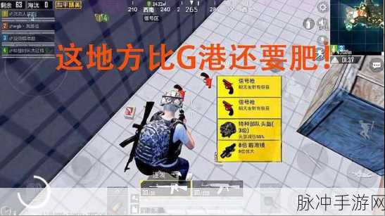 和平精英龙舟刷新点位置全面分享，海岛地图上的龙舟寻宝攻略