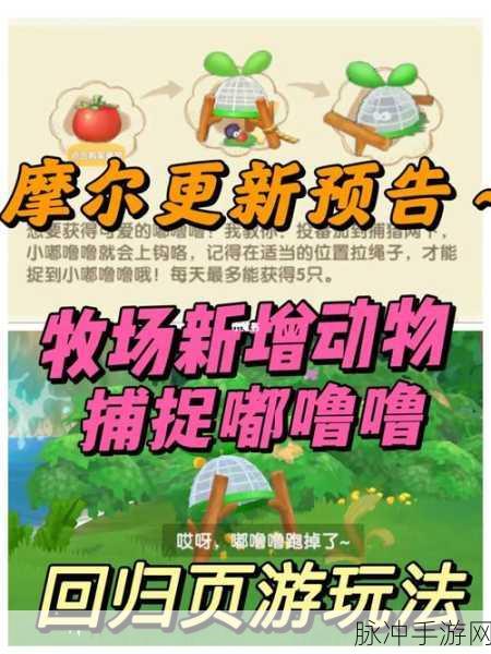 摩尔庄园手游投掷番茄方法详解，捕捉嘟噜噜的秘籍