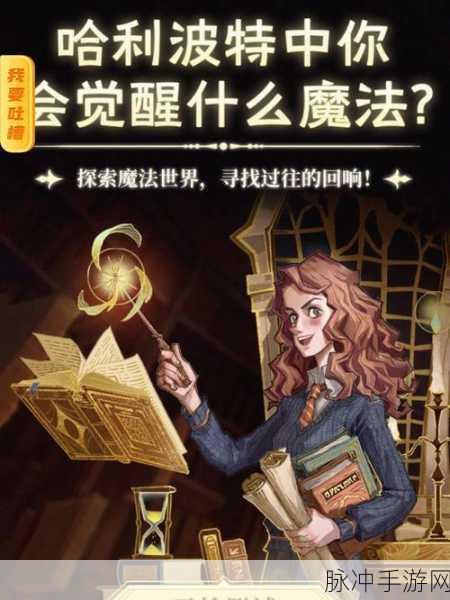 哈利波特魔法觉醒韦恩·韦斯莱技能详解，解锁魔法世界的无限可能