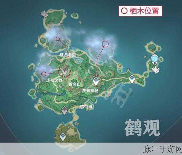 原神雾海与树之祭任务全攻略，解锁与完成方法详解
