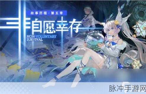 白荆回廊福满新岁赠礼活动全方位解析