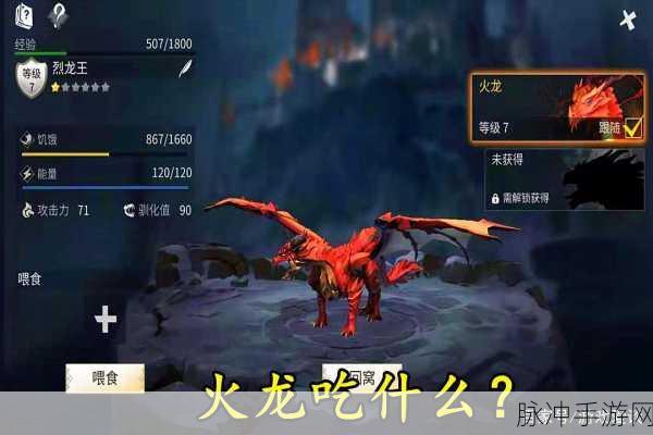 冰原守卫者，火龙与冰龙谁更值得培养？