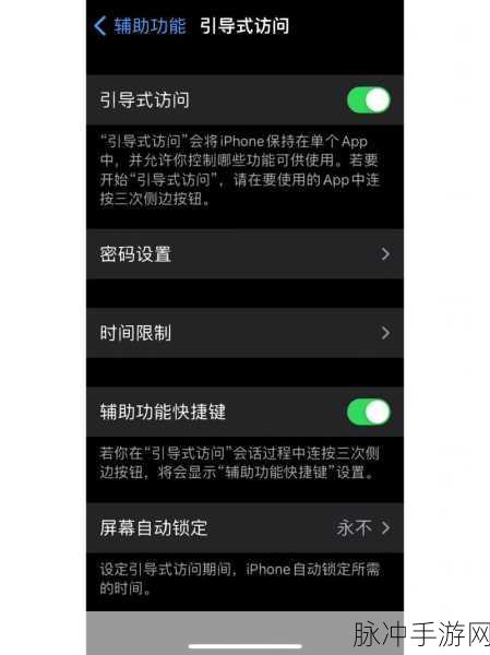 苹果 11 引导式访问在手游中的疑难与解决