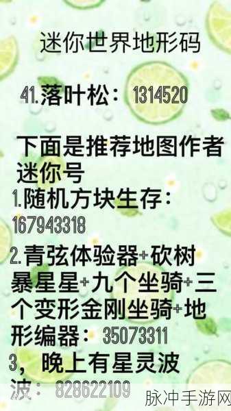 迷你世界空岛地形码全解析，探寻最稀有地形码的奥秘