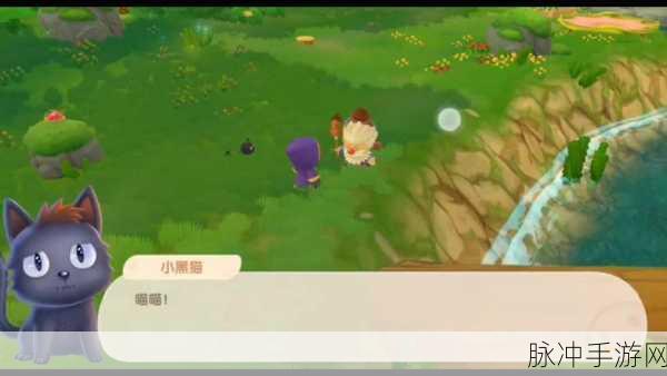 摩尔庄园手游攻略，如何帮助黑猫捷克变成王子捷克