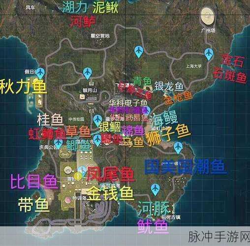 和平精英绿洲世界山顶位置大揭秘