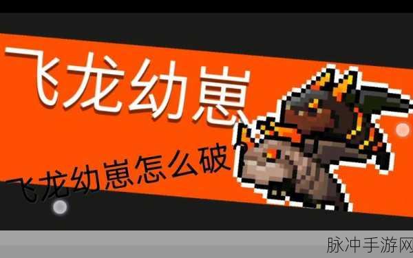 元气骑士，获取隐藏宠物飞龙秘籍大公开