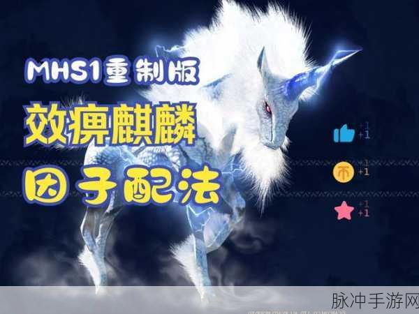 怪物猎人物语 2 黑带，勇攀巅峰的致胜秘籍