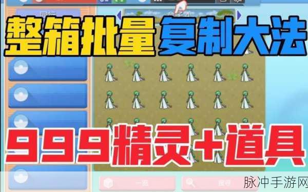 宝可梦大集结全面攻略，黑屏问题解决方案