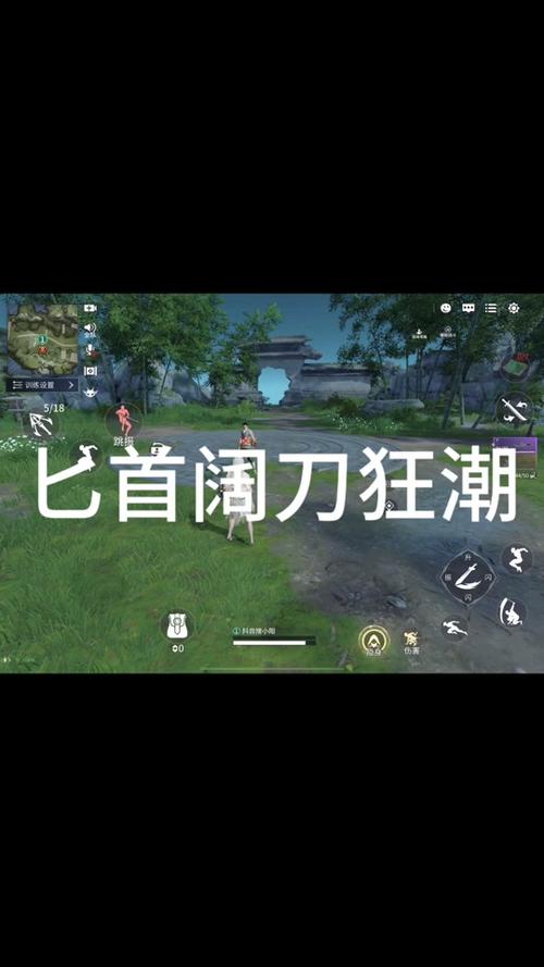 永劫无间手游攻略，深度解析阔刀磐石架势的使用技巧