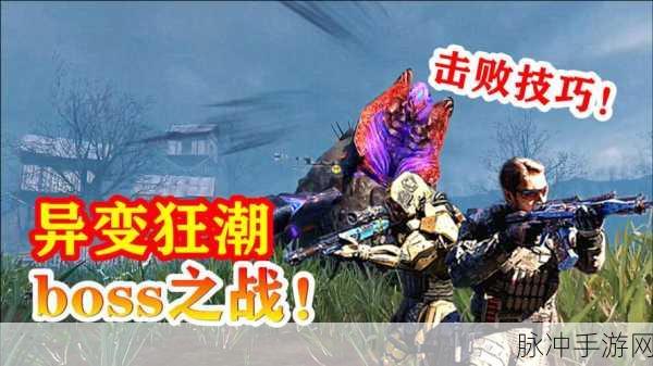 使命召唤手游，掌控异变狂潮的终极攻略秘籍