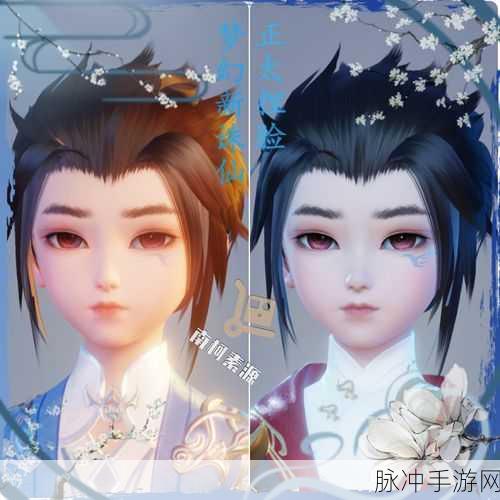 梦幻新诛仙捏脸艺术，解锁个性化面容的数据大全分享
