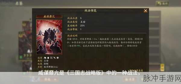 三国志战略版高级战斗规则详解，策略致胜的全方位指南