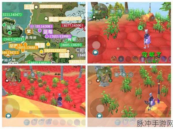 创造与魔法，探寻红色小花的密集分布地与获取秘籍