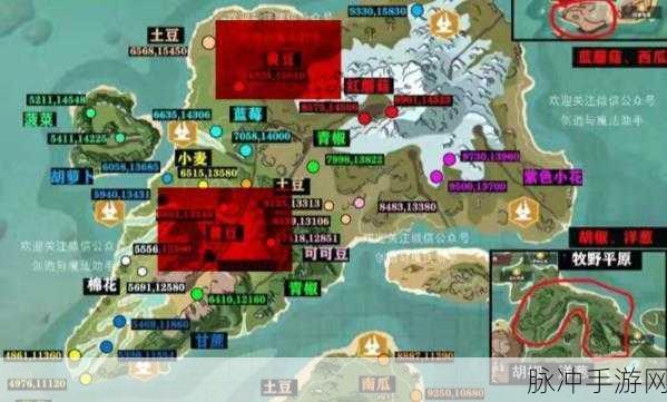 创造与魔法，探寻红色小花的密集分布地与获取秘籍